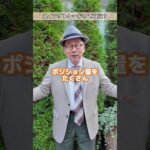 スイングトレードってなに？【小次郎講師の1分間投資講座】#投資 #株 #投資初心者  ＃shorts #お金 #投資教育