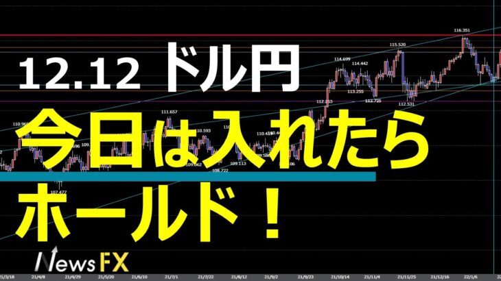 12/12 FX速報 ドル円 トレードポイント