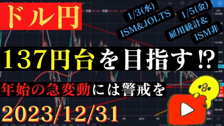 【ドル円】下落継続なら137円台も⁉年明けから重要な経済指標は多数あり🐥2023/12/31🐥