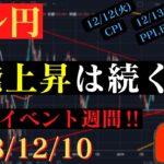 【ドル円】141円台からの反発上昇中！この流れは続くのか⁉今週はイベント週間です。🐥2023/12/10🐥
