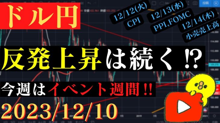 【ドル円】141円台からの反発上昇中！この流れは続くのか⁉今週はイベント週間です。🐥2023/12/10🐥