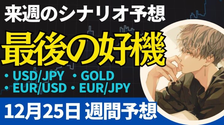 【為替FX相場分析】「ドル円・ゴールド・ユーロドル・ユーロ円　12月25日～トレードシナリオ【投資家プロジェクト億り人さとし】