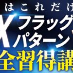 FXフラッグパターン完全習得講座【FX初心者必見】