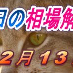 【TAKA FX】ドル円、ユーロ、ポンド、豪ドルの昨日の動きと本日の展望をチャートから解説。12月13日