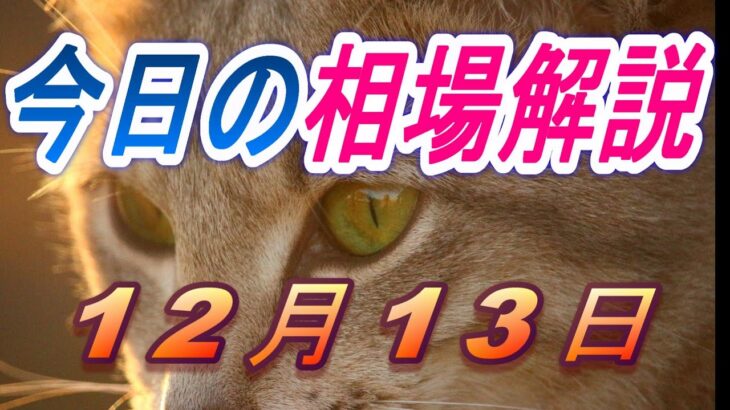 【TAKA FX】ドル円、ユーロ、ポンド、豪ドルの昨日の動きと本日の展望をチャートから解説。12月13日