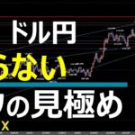 1/12 FX速報 ドル円 トレードポイント