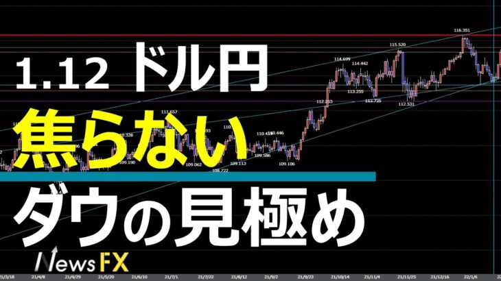 1/12 FX速報 ドル円 トレードポイント