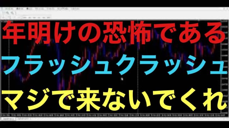 【FX暴落】年明け最も怖いのが為替のフラッシュクラッシュ・・・円高下落の流れが来ているので、全然フラッシュクラッシュ来てもおかしくない状況なのでは！？テクニカル分析しずらくなるので、絶対来てほしくない