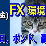 【TAKA FX】ドル、円、ユーロ、ポンド、豪ドルの環境認識解説。1月12日(金)
