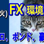 【TAKA FX】ドル、円、ユーロ、ポンド、豪ドルの環境認識解説。1月16日(火)