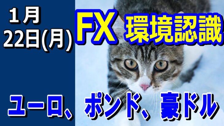 【TAKA FX】ドル、円、ユーロ、ポンド、豪ドルの環境認識解説。1月22日(月)～