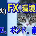 【TAKA FX】ドル、円、ユーロ、ポンド、豪ドルの環境認識解説。1月23日(火)