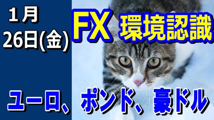 【TAKA FX】ドル、円、ユーロ、ポンド、豪ドルの環境認識解説。1月26日(金)