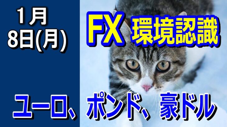 【TAKA FX】ドル、円、ユーロ、ポンド、豪ドルの環境認識解説。1月8日～