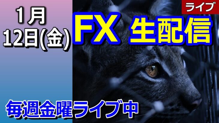 【TAKA FX】2024年は円安、株高？？今年もよろしくお願いします。　FX生配信 1月12日(金）22時00頃～