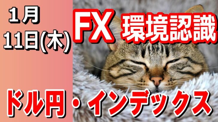 【TAKA FX】ドル円の環境認識解説。インデックス、日経平均、NYダウ、GOLDも。1月11日(木)