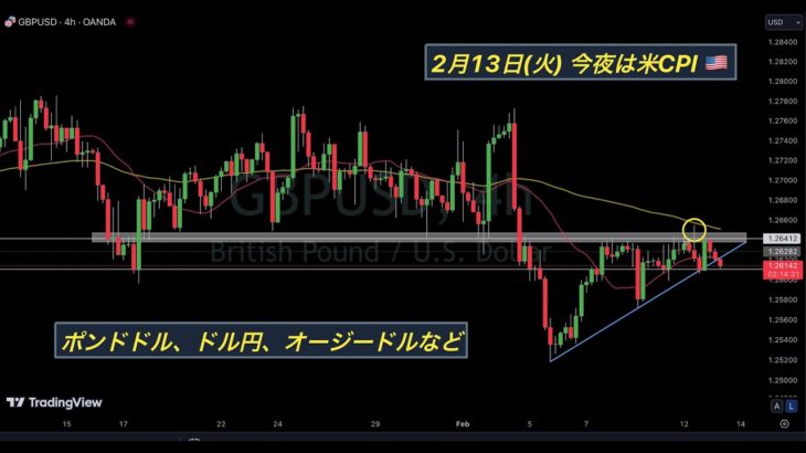 今夜は米CPI. ポンドドル, ドル円, 豪ドル米ドルなど FX今後の想定【2月13日(火)】英雇用統計, 米消費者物価指数, ユーロドル, オージードル