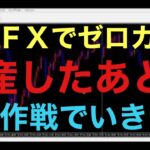 【ドル円FX破産】FXでゼロカットになった場合は、その後色々な選択肢があると思いますが、個人的には無理に入金して、直ぐに損を取り返そうとするより、残されたお金で勝てる手法を構築する方がベストだと思いま