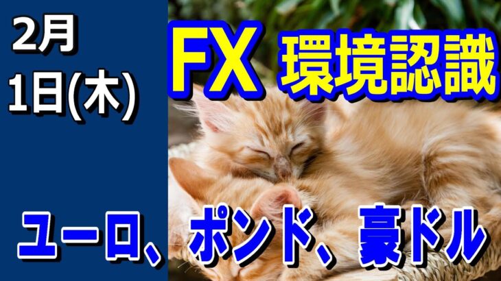 【TAKA FX】ドル、円、ユーロ、ポンド、豪ドルの環境認識解説。2月1日(木)