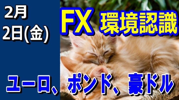 【TAKA FX】ドル、円、ユーロ、ポンド、豪ドルの環境認識解説。2月2日(金)