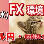 【TAKA FX】ドル円の環境認識解説。各種指数、GOLDなど　2月14日(水)