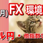 【TAKA FX】ドル円の環境認識解説。各種指数、GOLDなど　2月19日(月)