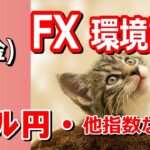 【TAKA FX】ドル円の環境認識解説。各種指数、GOLDなど　2月2日(金)