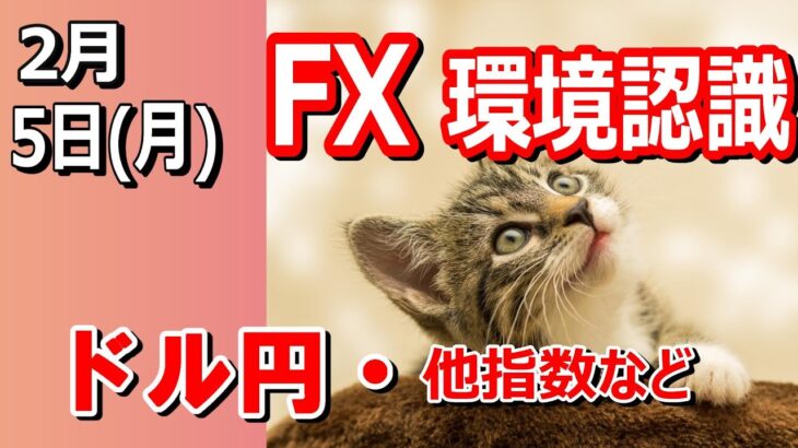 【TAKA FX】ドル円の環境認識解説。各種指数、GOLDなど　2月5日(月)～