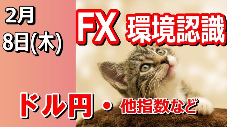 【TAKA FX】ドル円の環境認識解説。各種指数、GOLDなど　2月8日(木)