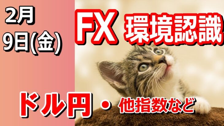 【TAKA FX】ドル円の環境認識解説。各種指数、GOLDなど　2月9日(金)