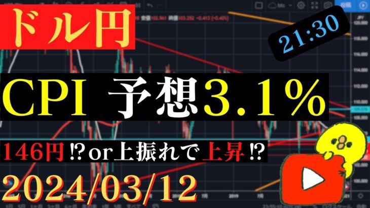 【ドル円】本日21:30米CPI‼3月FOMCに向けての重要指標🐥2024/03/12🐥