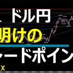 3/11 FX速報 ドル円 トレードポイント
