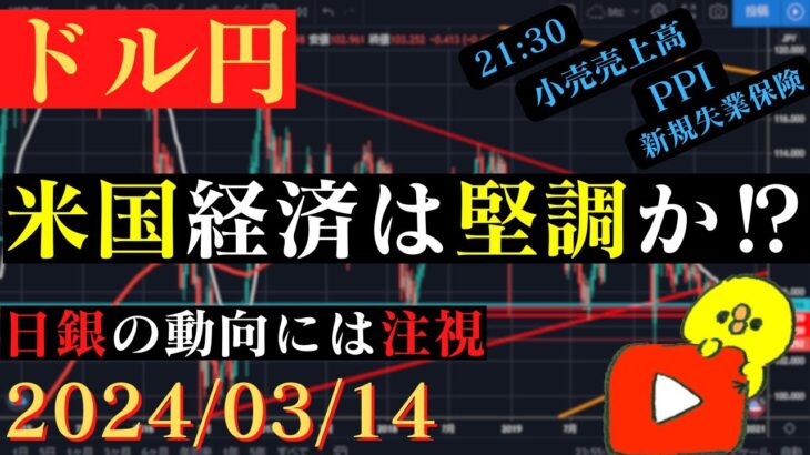 【ドル円】CPI上振れも上値は重い。本日21:30経済指標多数！再び動き出す🐥2024/03/12🐥