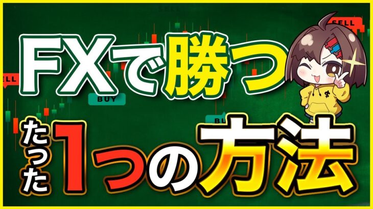 【完全版】FX初心者ガイド「 FXの勝ち方」編 ＿ゼロからわかるFXシリーズNo .4