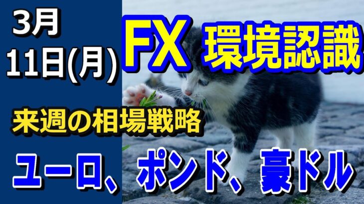 【TAKA FX】ドル、円、ユーロ、ポンド、豪ドルの環境認識解説。3月10日((月))