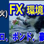【TAKA FX】ドル、円、ユーロ、ポンド、豪ドルの環境認識解説。3月12日(火)