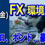 【TAKA FX】ドル、円、ユーロ、ポンド、豪ドルの環境認識解説。3月15日(金)