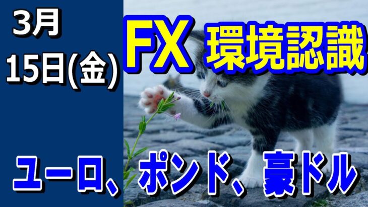 【TAKA FX】ドル、円、ユーロ、ポンド、豪ドルの環境認識解説。3月15日(金)