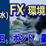 【TAKA FX】ドル、円、ユーロ、ポンド、豪ドルの環境認識解説。3月20日(水)