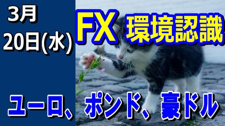 【TAKA FX】ドル、円、ユーロ、ポンド、豪ドルの環境認識解説。3月20日(水)