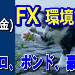 【TAKA FX】ドル、円、ユーロ、ポンド、豪ドルの環境認識解説。3月22日(金)