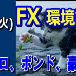 【TAKA FX】ドル、円、ユーロ、ポンド、豪ドルの環境認識解説。3月26日(火)