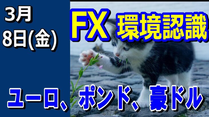 【TAKA FX】ドル、円、ユーロ、ポンド、豪ドルの環境認識解説。3月8日(金)