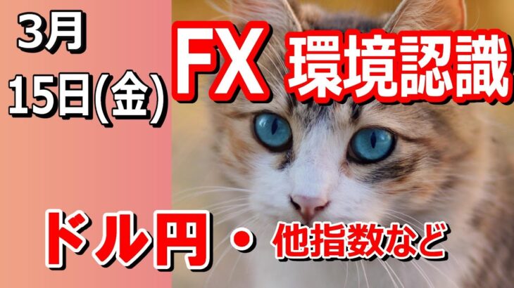 【TAKA FX】ドル円他各通貨の環境認識解説。各種指数、GOLDなど　3月15日(金)