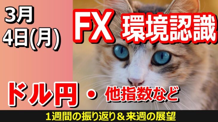 【TAKA FX】ドル円他各通貨の環境認識解説。各種指数、GOLDなど　3月4日(月)～