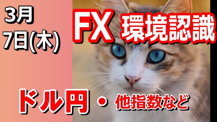 【TAKA FX】ドル円他各通貨の環境認識解説。各種指数、GOLDなど　3月7日(木)