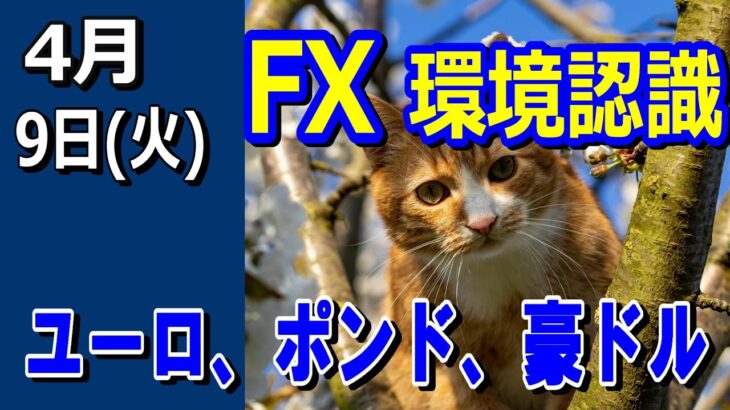 【TAKA FX】ドル、円、ユーロ、ポンド、豪ドルの環境認識解説。4月9日(火)