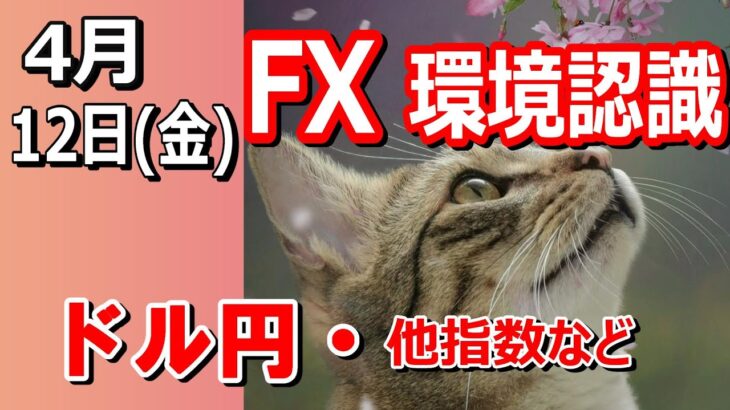 【TAKA FX】ドル円他各通貨の環境認識解説。各種指数、GOLDなど　4月12日(金)