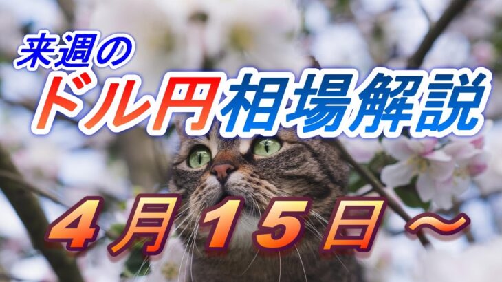 【TAKA FX】ドル円他各通貨の環境認識解説。各種指数、GOLDなど　4月15日(月)～