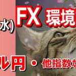 【TAKA FX】ドル円他各通貨の環境認識解説。各種指数、GOLDなど　4月24日(水)